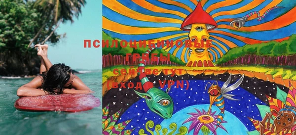 PSILOCYBIN Богородицк