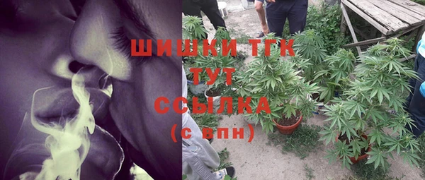 PSILOCYBIN Богородицк