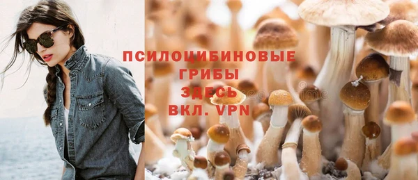 PSILOCYBIN Богородицк
